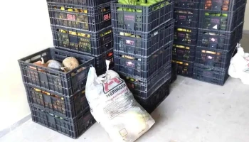 Banco de Alimentos Ceasa S J Ubá - São José De Ubá