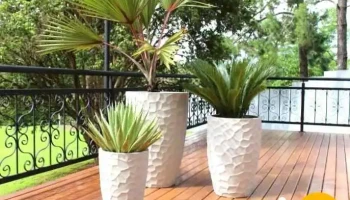 Emporium dos Vasos - Itaocara