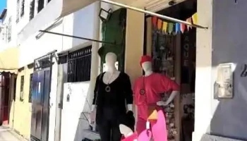 Estilo Jaque - Quatis