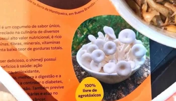 Feira do Produtor de Bueno Brandão. - 111 - Centro