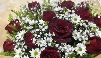 Floricultura Bruna flores - Itaocara