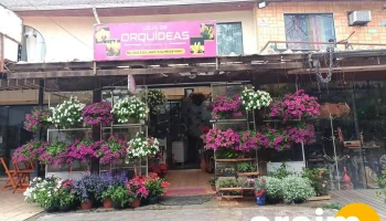 Makki - Itatiaia