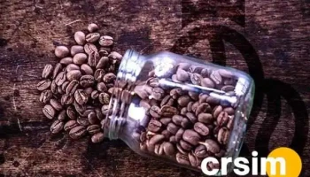 MelhorCafé - 22