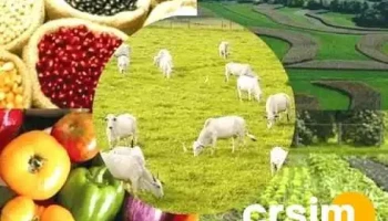 Pau a Pique Agronegócios e Materiais de Construção Ltda - 195 - A