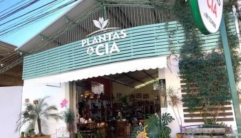 Plantas Cia - Macuco