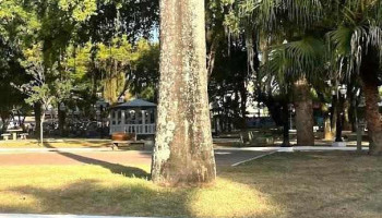 Silva Jardim - Silva Jardim