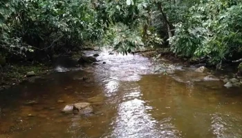 Silva Jardim - Silva Jardim