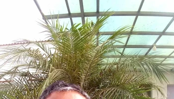 Supermercado Sao Sebastiao - Porciúncula