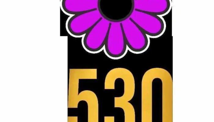 530 Store -  Tudo - Quissamã