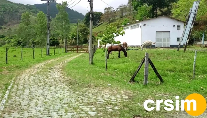 A Estacao De Macuco -  Videos - Macuco