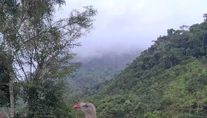 Agro E Pet Itatiaia -  Pet Shop - Itatiaia