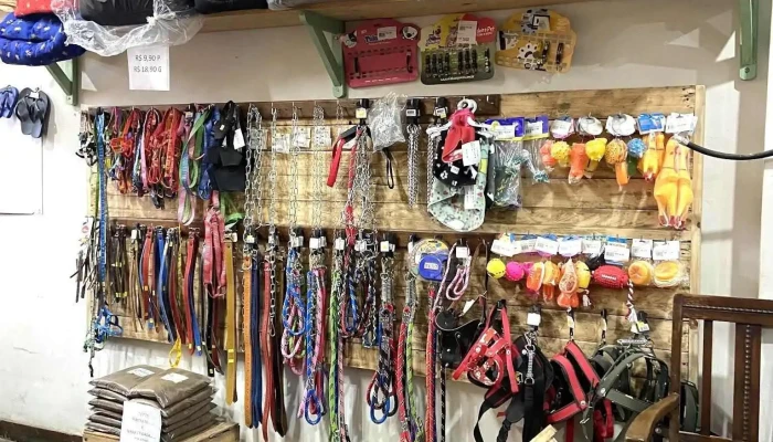 Agro Shopping Brasil -  Tudo - Miguel Pereira