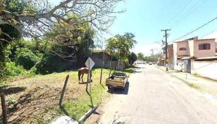 Agropecuaria Flor Do Campo Street View E 360deg - Porto Real