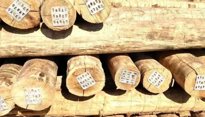 Agua Viva Agropecuaria Ltda Tudo - Quissamã