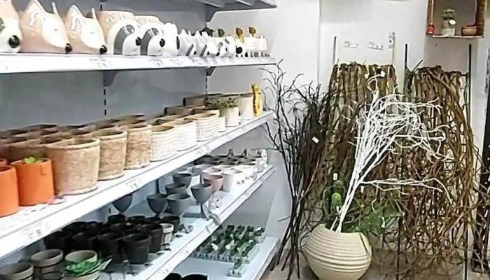 Amoedo -    Niteroi Interior - Niterói