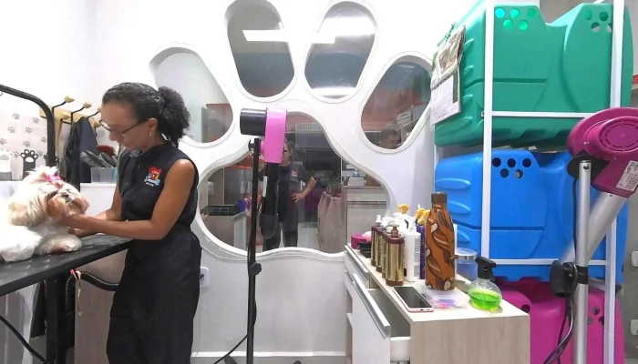 Amor Caopanhia Pet Shop Street View E 360deg - Macuco