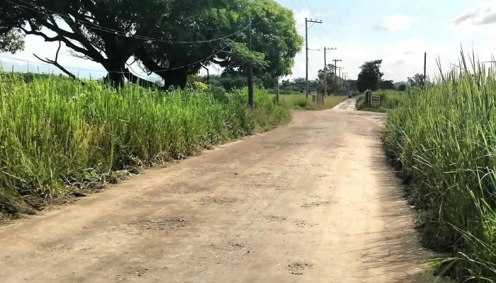 Apl Administracao De Patios E Leiloes   Seropedica Deposito - Seropédica