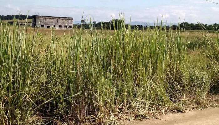 Apl Administracao De Patios E Leiloes   Seropedica Seropedica - Seropédica