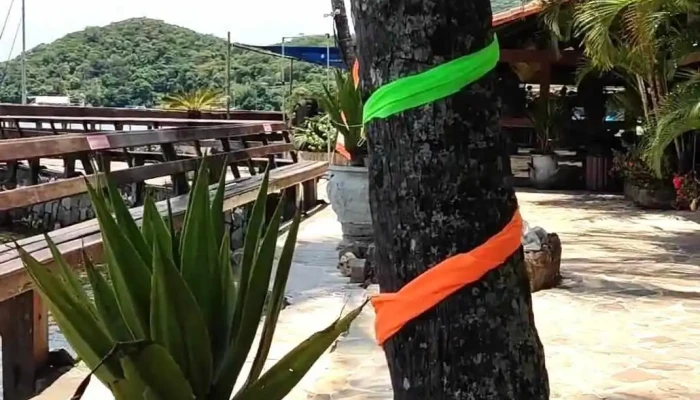 Aquario Hostel   Hostel Ilha Grande   Angra Dos Reis Videos - Angra Dos Reis