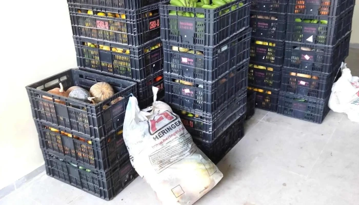 Banco De Alimentos Ceasa S J Uba Tudo - São José De Ubá
