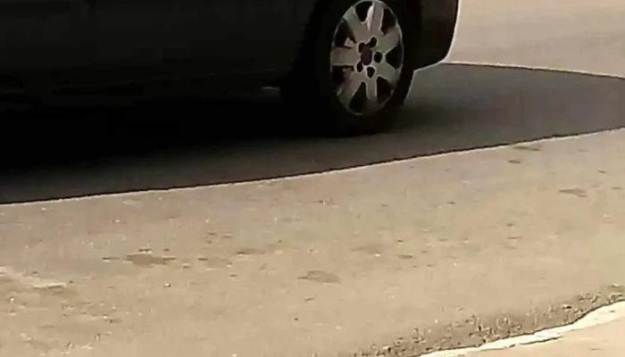 Bazar Sensacao De Rio Bonito Ltda Videos - Rio Bonito