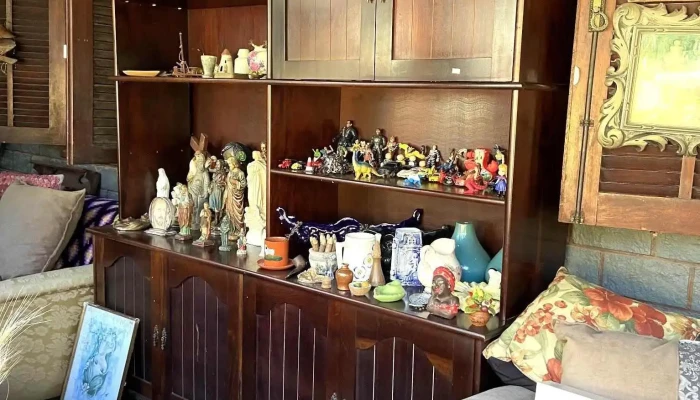 Brecho Antiquario Desiree Tudo - Miguel Pereira