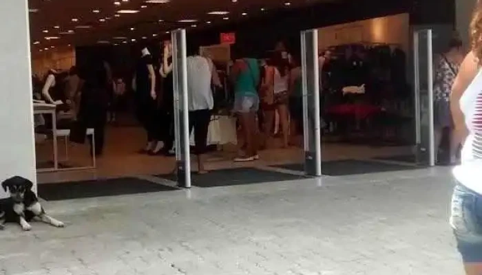C&a Modas - Nova Iguaçu