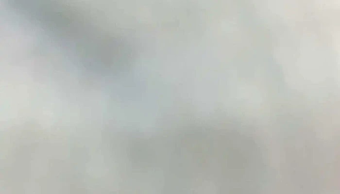 Caliman Boutique -  Videos - Nilópolis