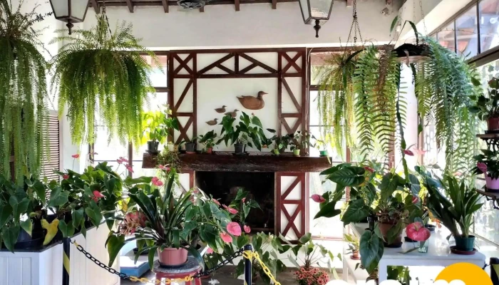 Casa Do Chocolate -  Interior - Itatiaia