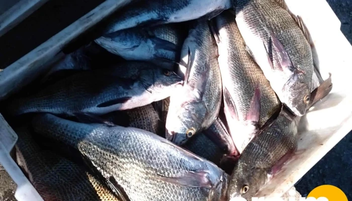 Casa Do Pescador -  Peixe - Iguaba Grande