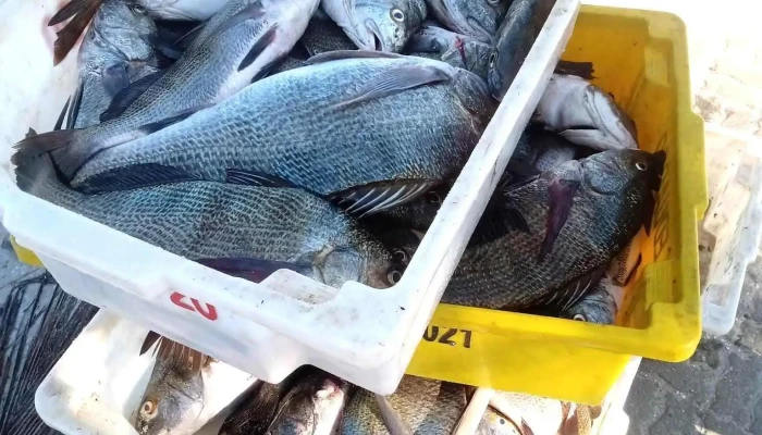 Casa Do Pescador -  Tudo - Iguaba Grande