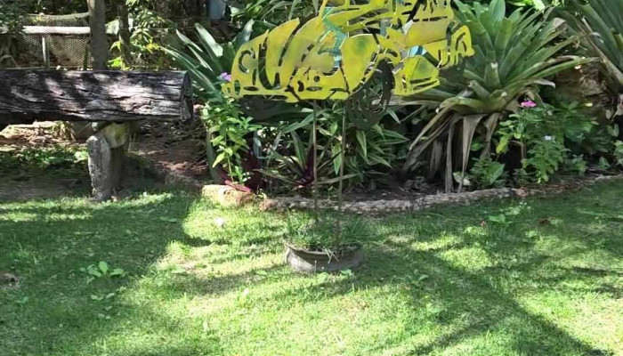 Casa Do Professor Pardal -  Videos - Santa Maria Madalena