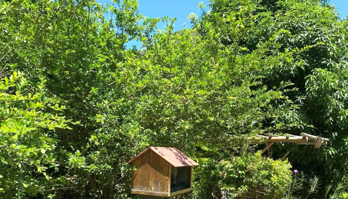 Casa Homem Do Campo -  Endereco - Santa Maria Madalena