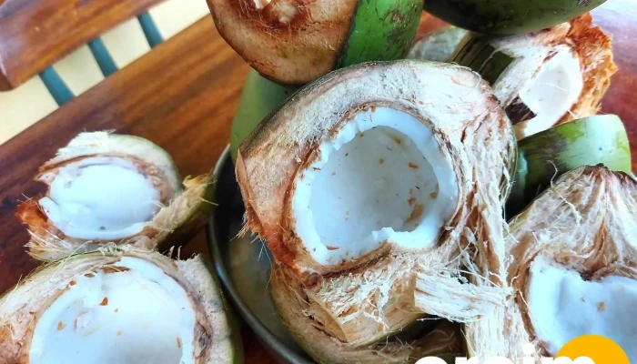 Casa Homem Do Campo -  Gastronomia - Santa Maria Madalena