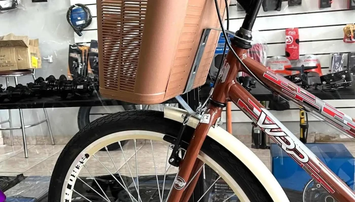Cicle Pedal -  Do Proprietario - Quissamã