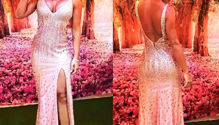 Destaque Aluguel De Roupas -  Vestido - Nova Iguaçu