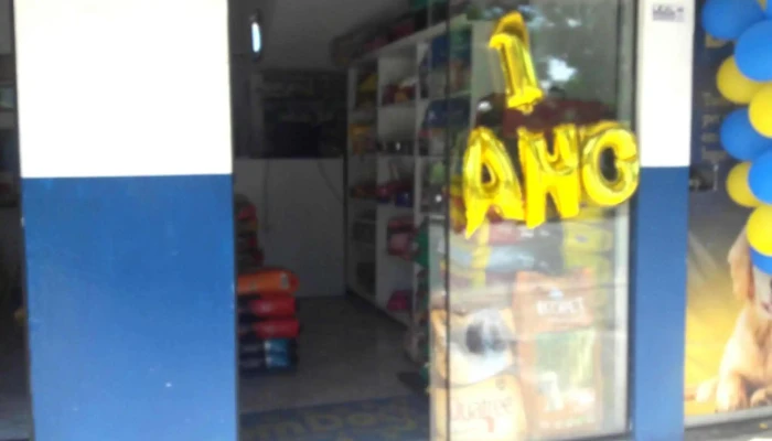Dom Dog Pet Shop - Italva