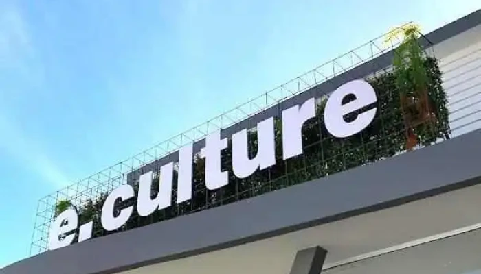 e.culture store - São Fidélis