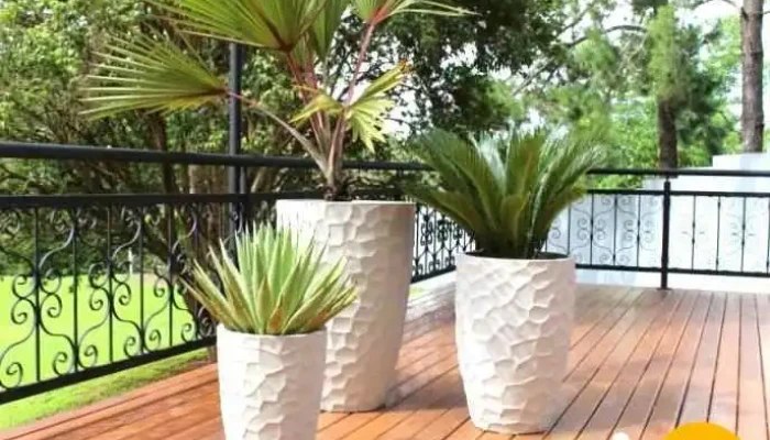Emporium dos Vasos - Itaocara