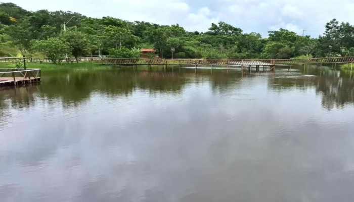 Espaco Ecologico Celia Barbosa Da Silva   Lagoa De Bulcao Iguaba Grande - Iguaba Grande