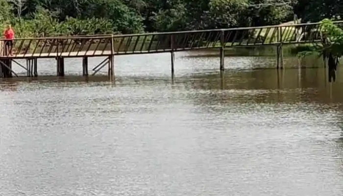 Espaco Ecologico Celia Barbosa Da Silva   Lagoa De Bulcao Videos - Iguaba Grande