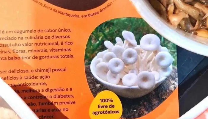 Feira do Produtor de Bueno Brandão. - 111 - Centro