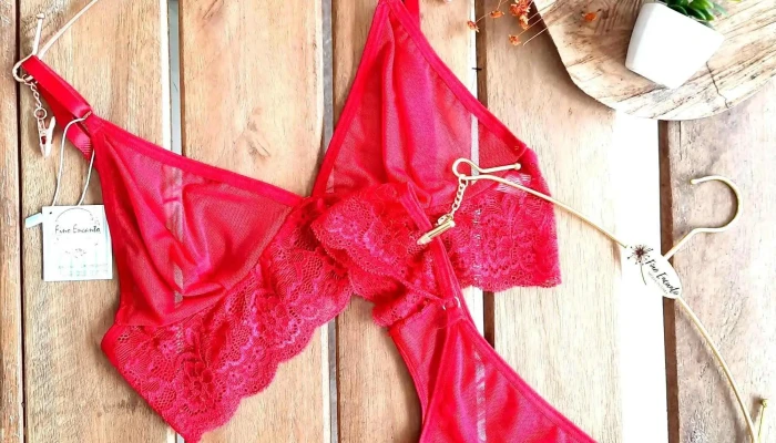 Fino Encanto Moda Intima -  Lingerie - Quatis