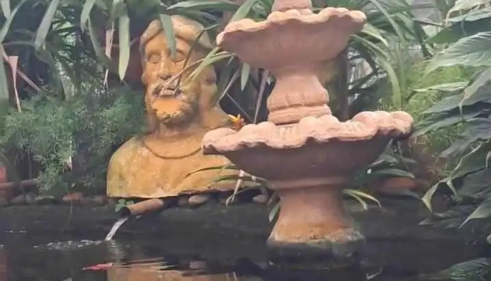 Flora Paraty -  Videos - Paraty