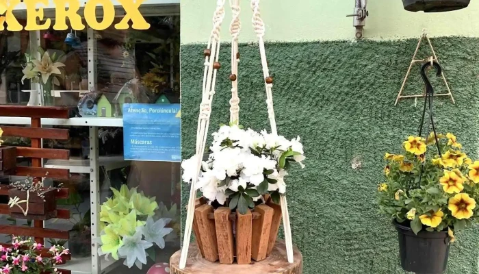 Flores E Cia -  Do Proprietario - Porciúncula