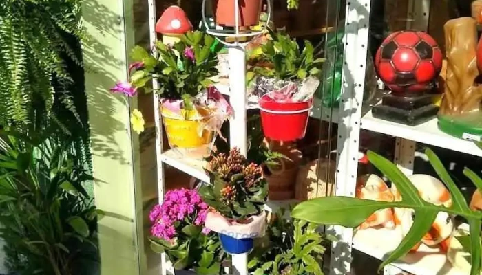 Flores e Cia - Porciúncula