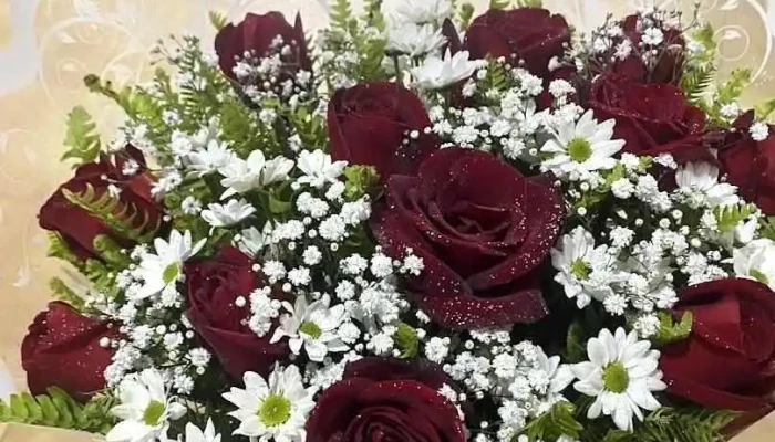 Floricultura Bruna flores - Itaocara
