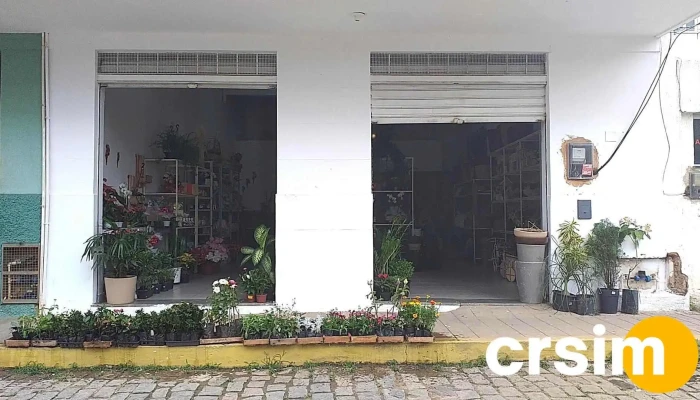 Floricultura Folhas E Flores -  Do Proprietario - Porciúncula