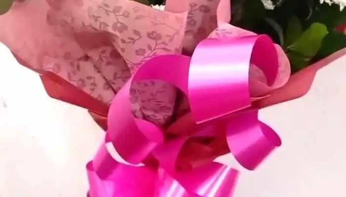 Floricultura Folhas E Flores -  Videos - Porciúncula