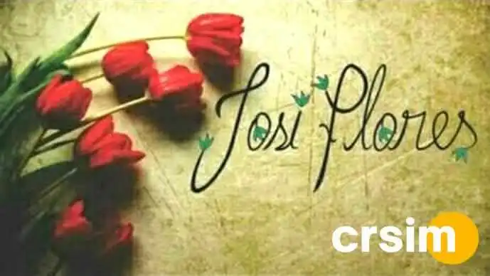 Floricultura Josi Flores -    Quatis Do Proprietario - Quatis